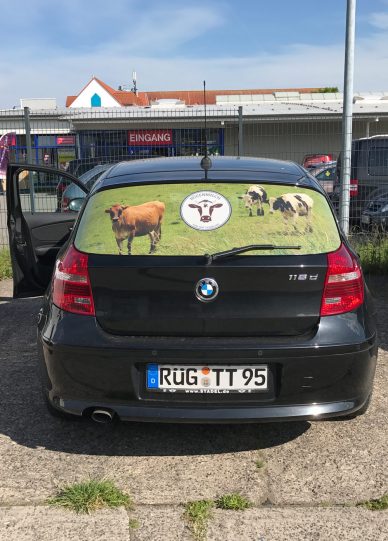 heckscheibe